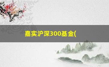 “嘉实沪深300基金(嘉实沪深300